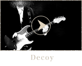 Decoy