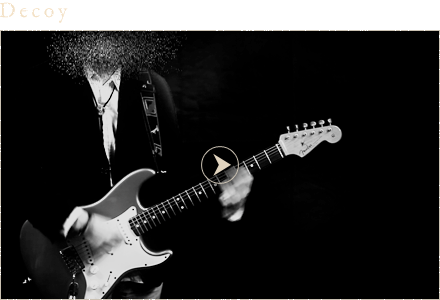 Decoy